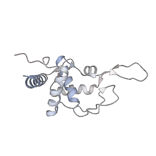 20952_6uz7_T_v1-1
K.lactis 80S ribosome with p/PE tRNA and eIF5B
