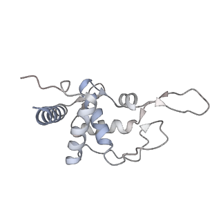 20952_6uz7_T_v1-2
K.lactis 80S ribosome with p/PE tRNA and eIF5B