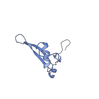 20952_6uz7_V_v1-1
K.lactis 80S ribosome with p/PE tRNA and eIF5B