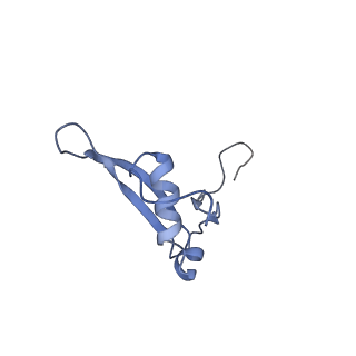 20952_6uz7_V_v1-2
K.lactis 80S ribosome with p/PE tRNA and eIF5B