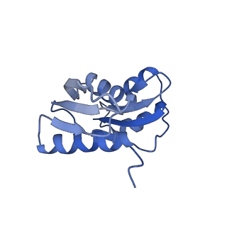 20952_6uz7_W_v1-1
K.lactis 80S ribosome with p/PE tRNA and eIF5B