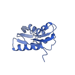 20952_6uz7_W_v1-2
K.lactis 80S ribosome with p/PE tRNA and eIF5B