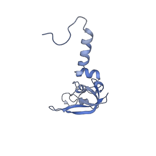 20952_6uz7_X_v1-1
K.lactis 80S ribosome with p/PE tRNA and eIF5B
