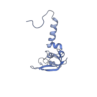 20952_6uz7_X_v1-2
K.lactis 80S ribosome with p/PE tRNA and eIF5B