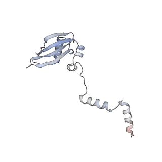 20952_6uz7_Y_v1-1
K.lactis 80S ribosome with p/PE tRNA and eIF5B