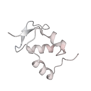 20952_6uz7_Z_v1-1
K.lactis 80S ribosome with p/PE tRNA and eIF5B