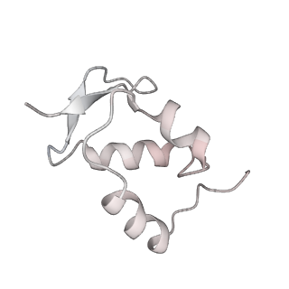 20952_6uz7_Z_v1-2
K.lactis 80S ribosome with p/PE tRNA and eIF5B