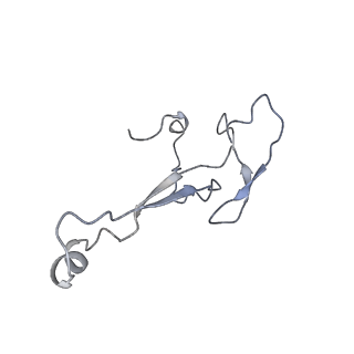 20952_6uz7_a_v1-1
K.lactis 80S ribosome with p/PE tRNA and eIF5B