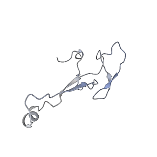 20952_6uz7_a_v1-2
K.lactis 80S ribosome with p/PE tRNA and eIF5B