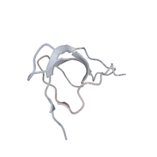 20952_6uz7_c_v1-2
K.lactis 80S ribosome with p/PE tRNA and eIF5B