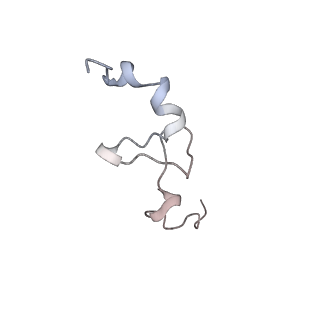 20952_6uz7_d_v1-1
K.lactis 80S ribosome with p/PE tRNA and eIF5B