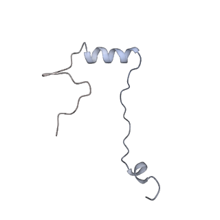 20952_6uz7_e_v1-1
K.lactis 80S ribosome with p/PE tRNA and eIF5B