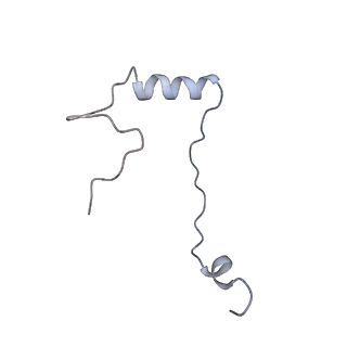 20952_6uz7_e_v1-2
K.lactis 80S ribosome with p/PE tRNA and eIF5B