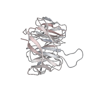 20952_6uz7_g_v1-1
K.lactis 80S ribosome with p/PE tRNA and eIF5B