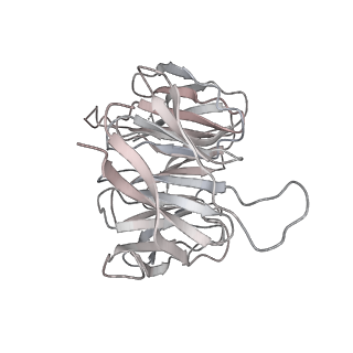 20952_6uz7_g_v1-2
K.lactis 80S ribosome with p/PE tRNA and eIF5B