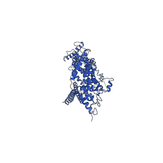 20953_6uz8_A_v1-0
Cryo-EM structure of human TRPC6 in complex with agonist AM-0883