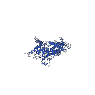20953_6uz8_D_v1-0
Cryo-EM structure of human TRPC6 in complex with agonist AM-0883