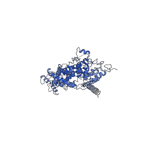 20954_6uza_A_v1-0
Cryo-EM structure of human TRPC6 in complex with antagonist AM-1473