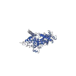 20954_6uza_C_v1-0
Cryo-EM structure of human TRPC6 in complex with antagonist AM-1473