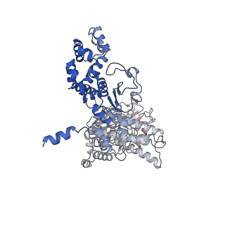 20955_6uzb_H_v1-0
Anthrax toxin protective antigen channels bound to edema factor