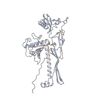 20956_6uzc_C_v1-1
Portal vertex structure of bacteriophage T4