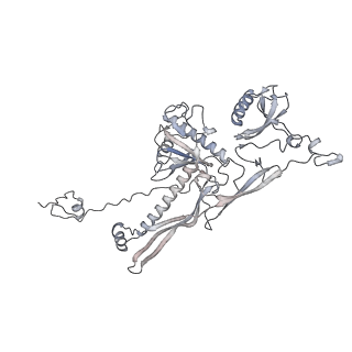 20956_6uzc_D_v1-1
Portal vertex structure of bacteriophage T4
