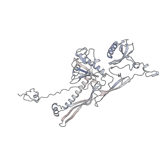 20956_6uzc_D_v1-2
Portal vertex structure of bacteriophage T4