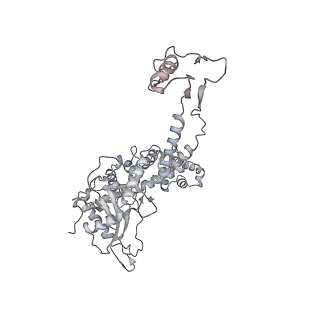20956_6uzc_F_v1-1
Portal vertex structure of bacteriophage T4
