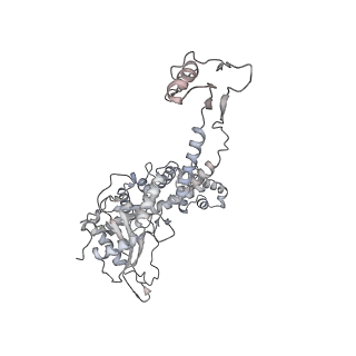 20956_6uzc_F_v1-2
Portal vertex structure of bacteriophage T4