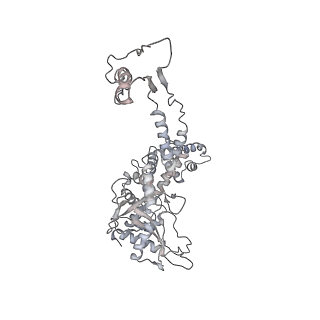 20956_6uzc_G_v1-1
Portal vertex structure of bacteriophage T4