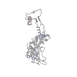 20956_6uzc_G_v1-2
Portal vertex structure of bacteriophage T4