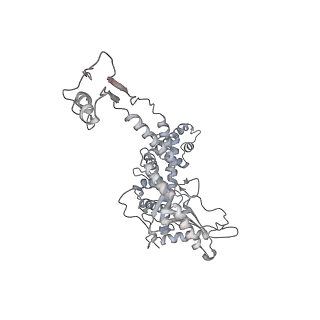 20956_6uzc_H_v1-1
Portal vertex structure of bacteriophage T4