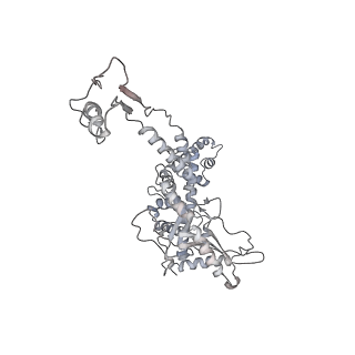 20956_6uzc_H_v1-2
Portal vertex structure of bacteriophage T4