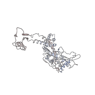 20956_6uzc_I_v1-1
Portal vertex structure of bacteriophage T4