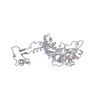 20956_6uzc_J_v1-1
Portal vertex structure of bacteriophage T4