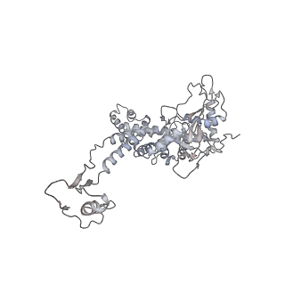 20956_6uzc_K_v1-1
Portal vertex structure of bacteriophage T4