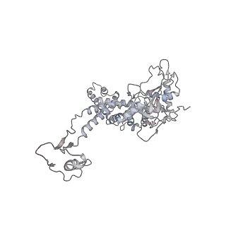 20956_6uzc_K_v1-2
Portal vertex structure of bacteriophage T4