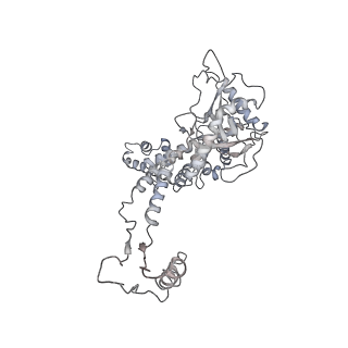 20956_6uzc_L_v1-1
Portal vertex structure of bacteriophage T4