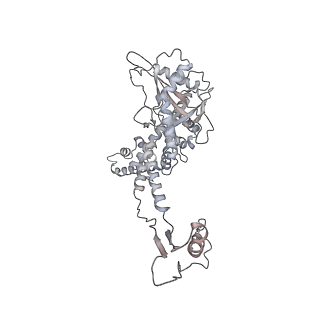 20956_6uzc_M_v1-1
Portal vertex structure of bacteriophage T4