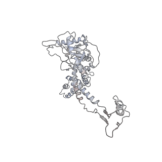 20956_6uzc_N_v1-1
Portal vertex structure of bacteriophage T4