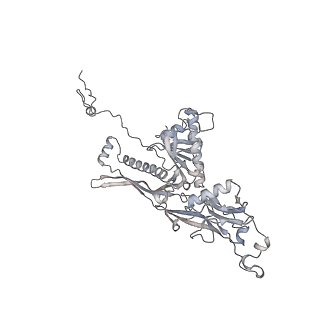 20956_6uzc_b_v1-1
Portal vertex structure of bacteriophage T4