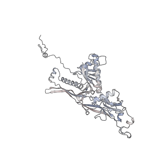 20956_6uzc_b_v1-2
Portal vertex structure of bacteriophage T4