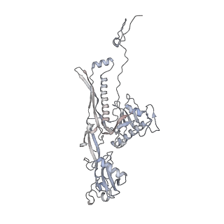 20956_6uzc_c_v1-1
Portal vertex structure of bacteriophage T4