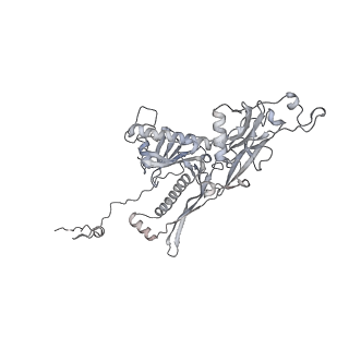20956_6uzc_h_v1-1
Portal vertex structure of bacteriophage T4