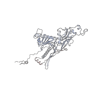 20956_6uzc_h_v1-2
Portal vertex structure of bacteriophage T4