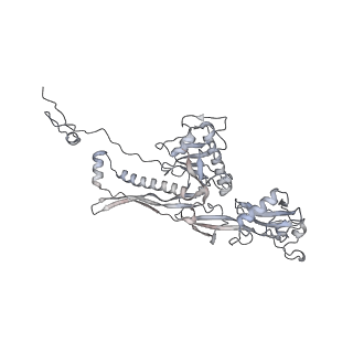 20956_6uzc_i_v1-1
Portal vertex structure of bacteriophage T4