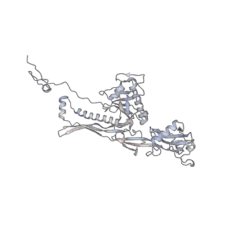 20956_6uzc_i_v1-2
Portal vertex structure of bacteriophage T4