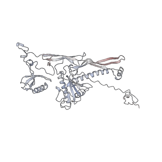 20956_6uzc_l_v1-1
Portal vertex structure of bacteriophage T4