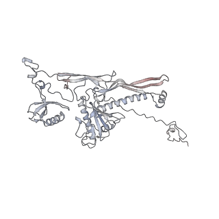 20956_6uzc_l_v1-2
Portal vertex structure of bacteriophage T4