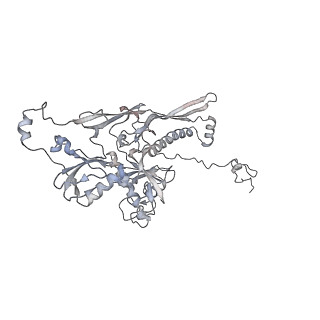20956_6uzc_m_v1-1
Portal vertex structure of bacteriophage T4